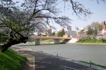 IMGP3520