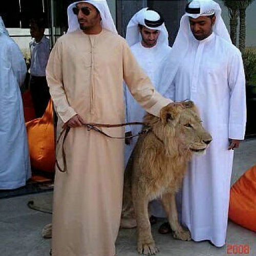 15071743846_09fe777b8d