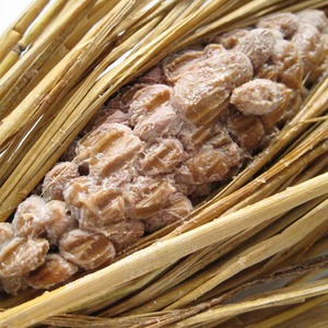 01c588840e7cbd55javascript:void(0)