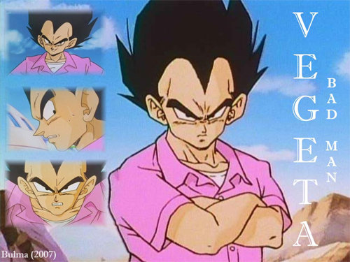 vegeta-07