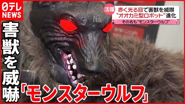 外国人「日本の畑に「モンスターウルフ」という怪物がいるらしい！」