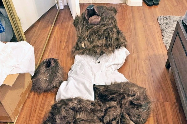 241113-bear-co
