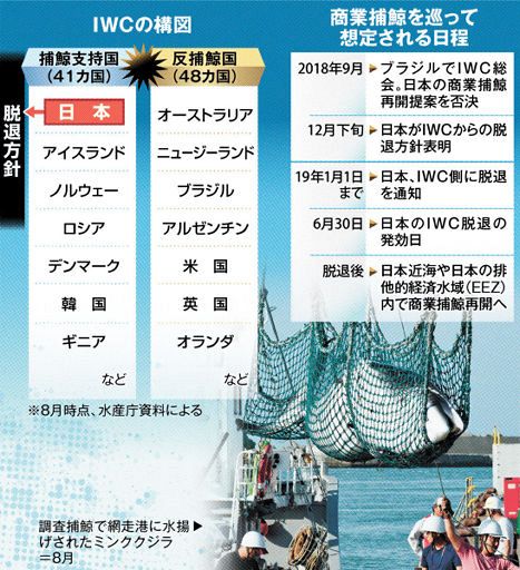 c4ce9a6e21b812660f4d65445ae0a745