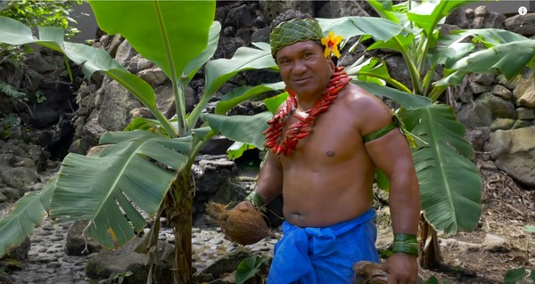 COCO1