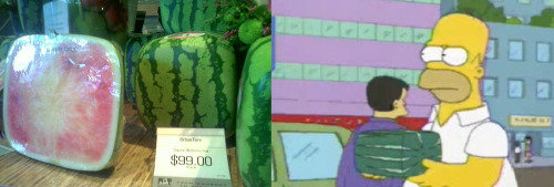 tumblr_mmx61ntWCd1qdw1jbo1_500