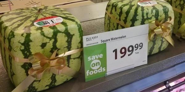 o-SQUARE-WATERMELONS-facebook