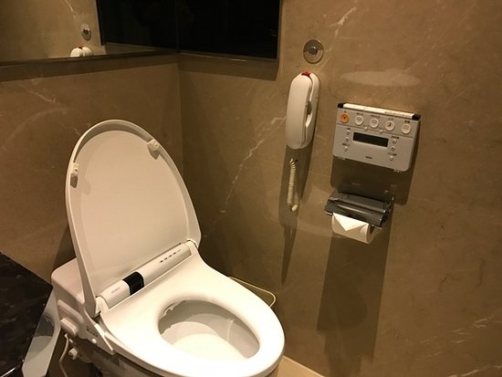 japanese-style-toto-toilet