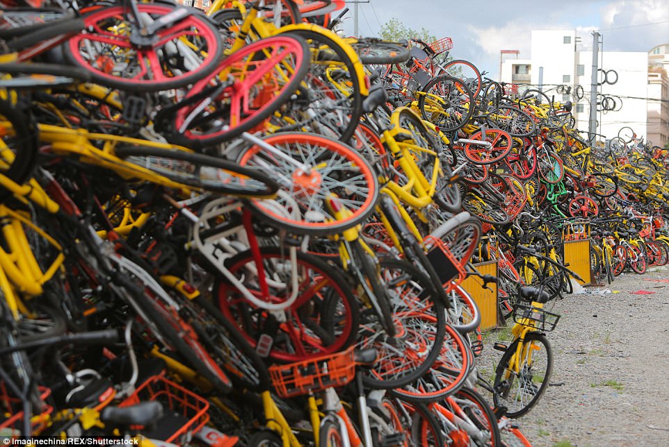 中国 自転車 シェア