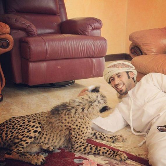 33-rich_guy_rith_lions_instagram