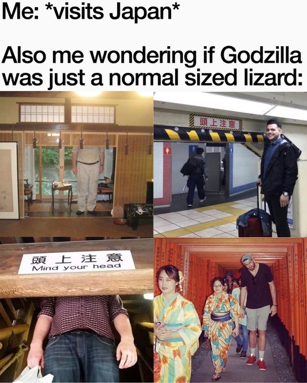 ger0ho5tg9w51