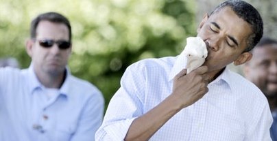 obama ice cream (2)