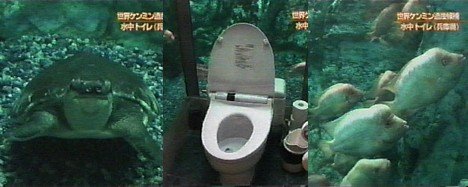aquarium_toilet