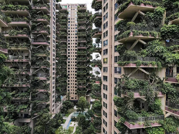 Chengdu-vertical-forest2