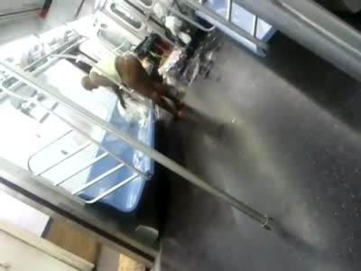 crazy_lady_ny_subway