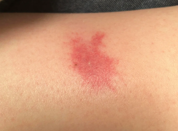 スクリーンショット 2025-05-17 180851