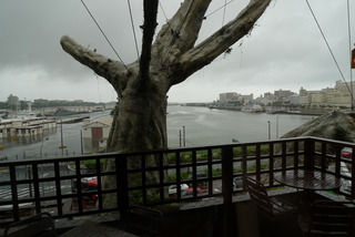 4c8fa696cb5f3bb6036bf-s