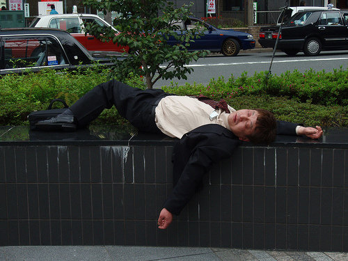 3059796168_9f093256bf[1]