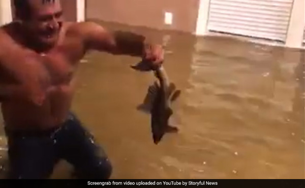 fishing-at-home-texas-flood-650_650x400_81503895464