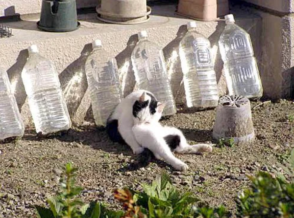 スクリーンショット 2025-12-05 140547