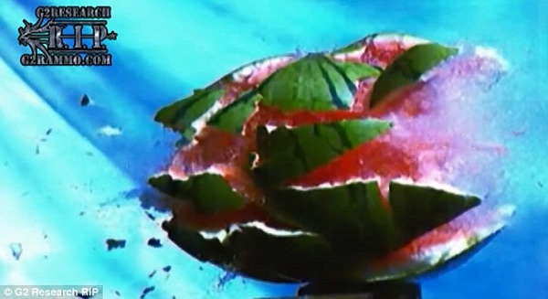 article-2547765-1B0A4E1100000578-301_634x346