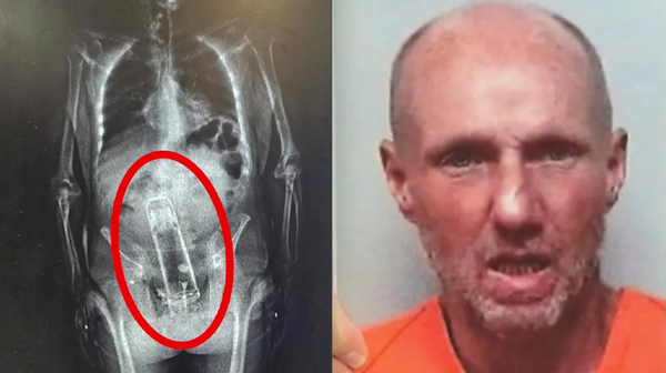 スクリーンショット 2025-10-12 154340