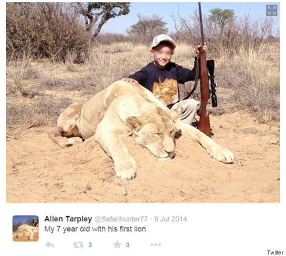 LION3