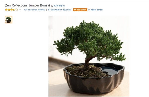 BONSAI LOVE1
