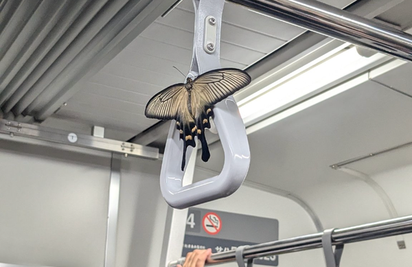 スクリーンショット 2024-07-31 175715