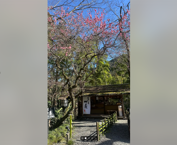 スクリーンショット 2026-03-10 154800