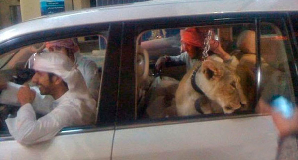 pictures-rich-dubai-5